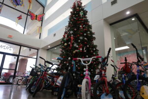 BIKE WITH TREE BIKE WITH TREE