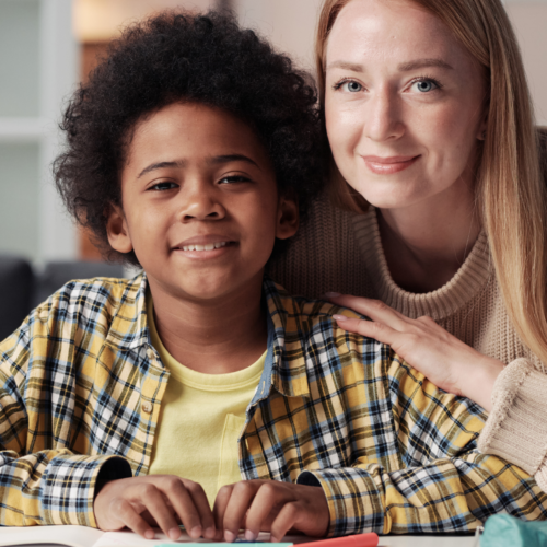 Traditional Foster Care 500x500