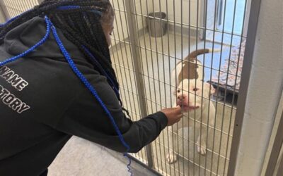 A Look at Arrow’s Crossroads Community Volunteering with Purpose