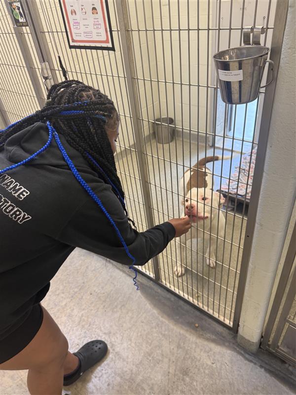 a look at arrows crossroads community volunteering with purpose